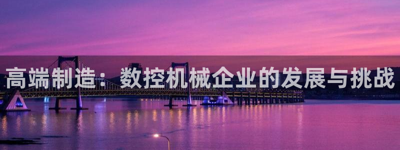 辰天娱乐用品:高端制造:数控机械企业的发展与挑战