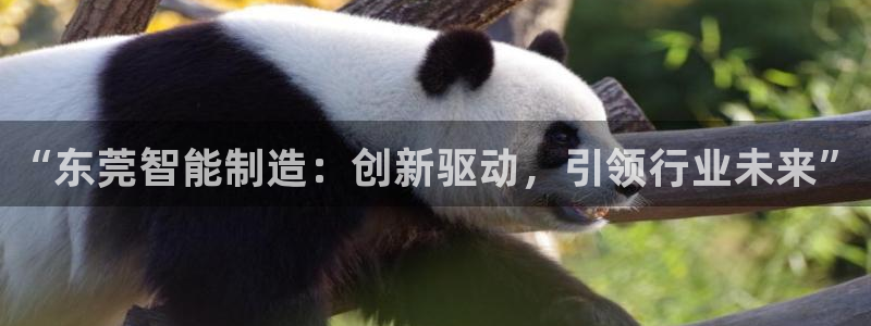 天辰娱乐官:“东莞智能制造:创新驱动,引领行业未来”