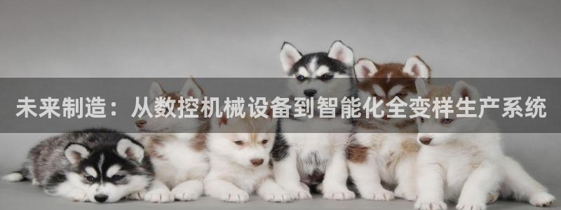 天辰app娱乐:未来制造:从数控机械设备到智能化全变样生产系统