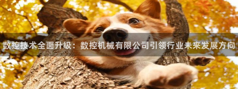 天辰娱乐地址:数控技术全面升级:数控机械有限公司引领行业未来发展方向