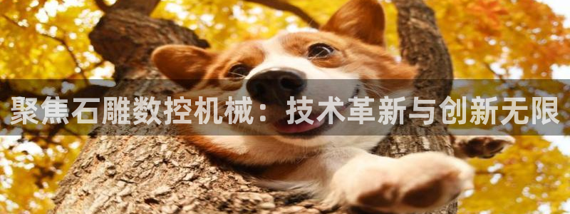 天辰娱乐测试:聚焦石雕数控机械:技术革新与创新无限