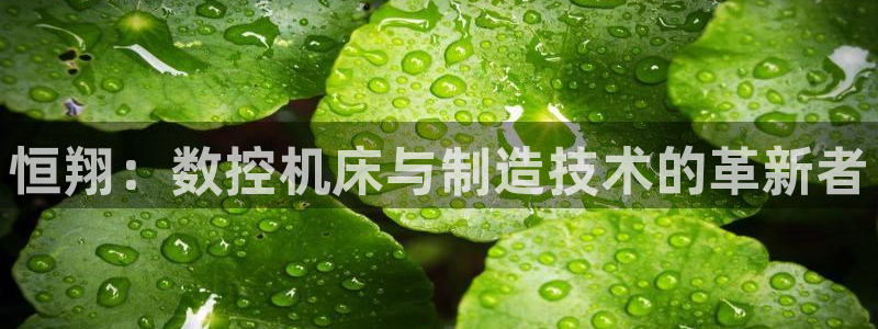 大庆天辰娱乐:恒翔:数控机床与制造技术的革新者