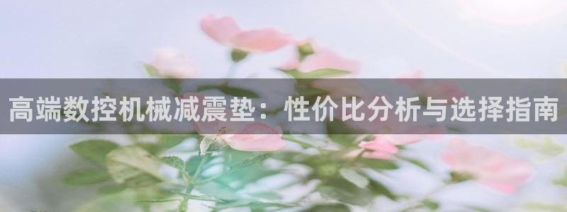 天辰娱乐测速:高端数控机械减震垫:性价比分析与选择指南