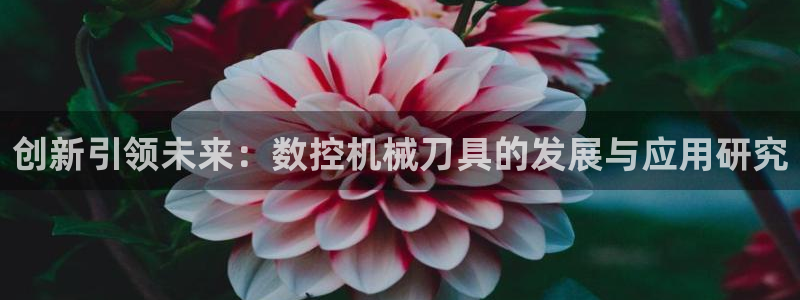 天辰平台娱乐:创新引领未来:数控机械刀具的发展与应用研究
