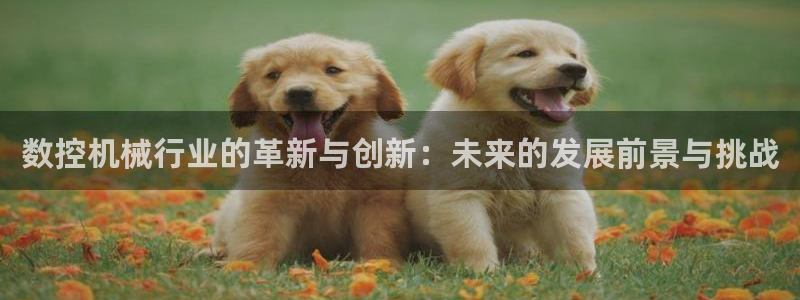 天辰辰娱乐代理:数控机械行业的革新与创新:未来的发展前景与挑战