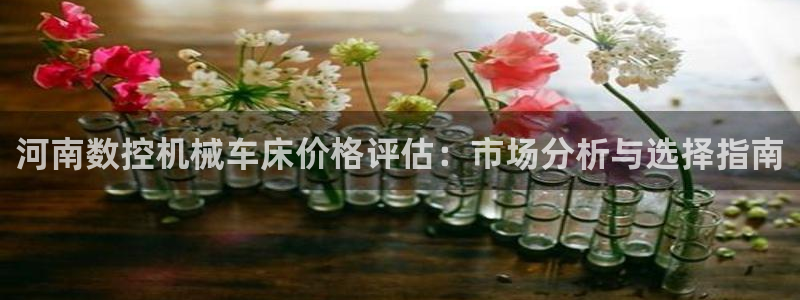 天辰娱乐 天辰平台:河南数控机械车床价格评估:市场分析与选择指南