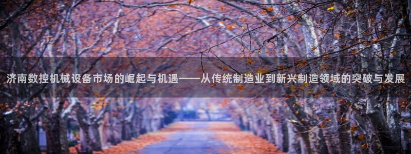 南京天辰娱乐:济南数控机械设备市场的崛起与机遇——从传统制造业到新兴制造领域的突破与发展