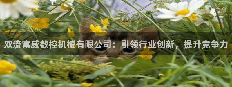 天辰娱乐测试:双流富威数控机械有限公司:引领行业创新,提升竞争力