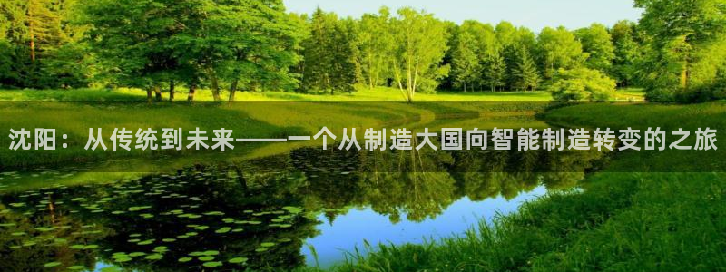 天辰娱乐黑人:沈阳:从传统到未来——一个从制造大国向智能制造转变的之旅