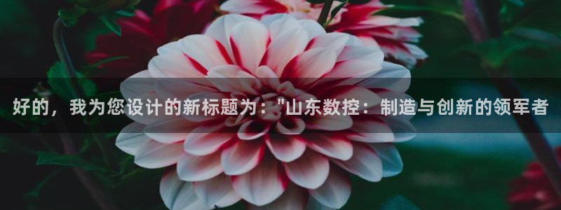 天辰娱乐测速:好的,我为您设计的新标题为:\