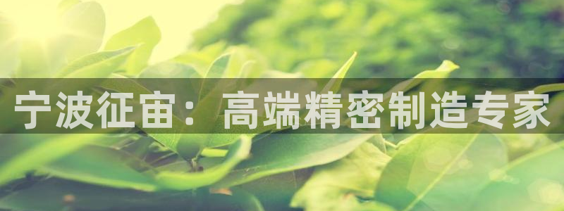 天辰娱乐首页:宁波征宙:高端精密制造专家