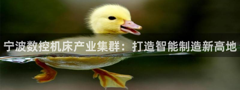 天辰(娱乐注册:宁波数控机床产业集群:打造智能制造新高地