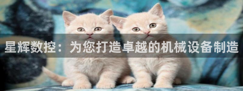 哈尔滨天辰娱乐:星辉数控:为您打造卓越的机械设备制造